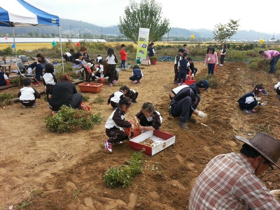 '농촌클린사업장'으로 안심여행(청주 '더자람교육농장'에서 체험하고 있는 모습).jpg