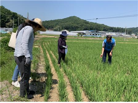 인천시농업기술.jpg