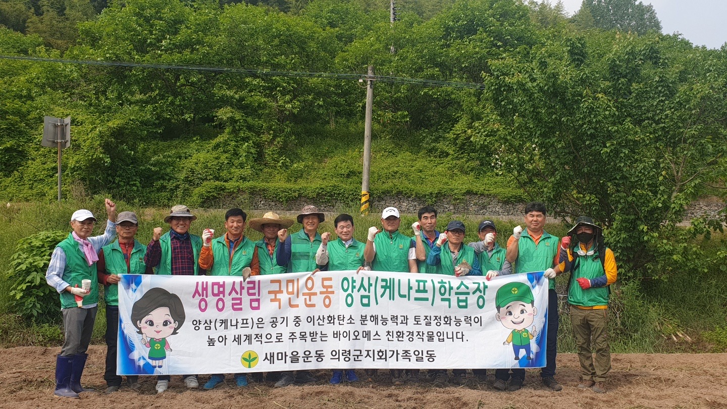 2020-05-28 새마을의령군협의회,‘생명살림운동 양삼(케나프) 심기’행사.JPG